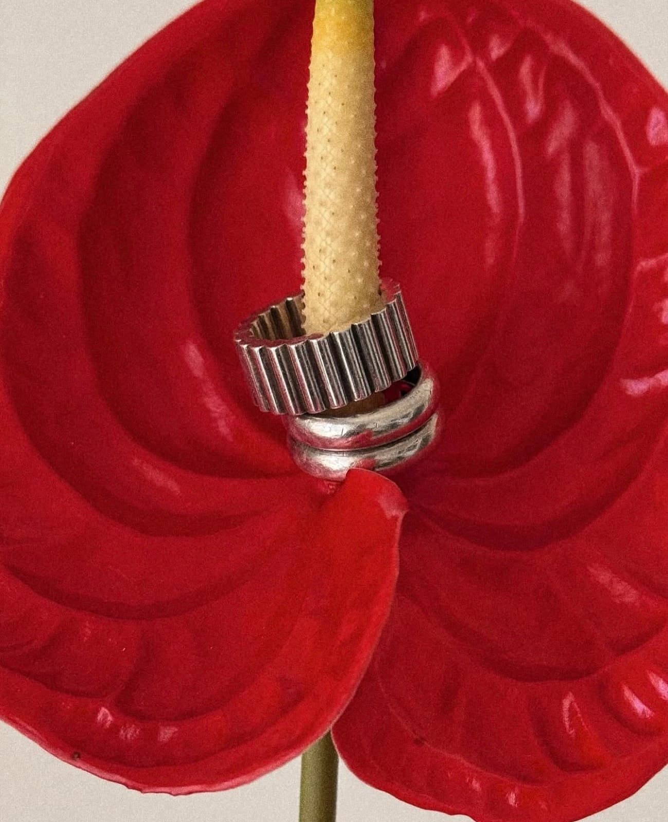 Born in a Middle East to tell the stories around the world.